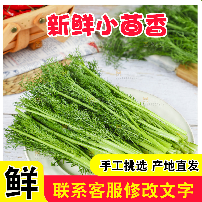 盘子里装着农家茴香菜