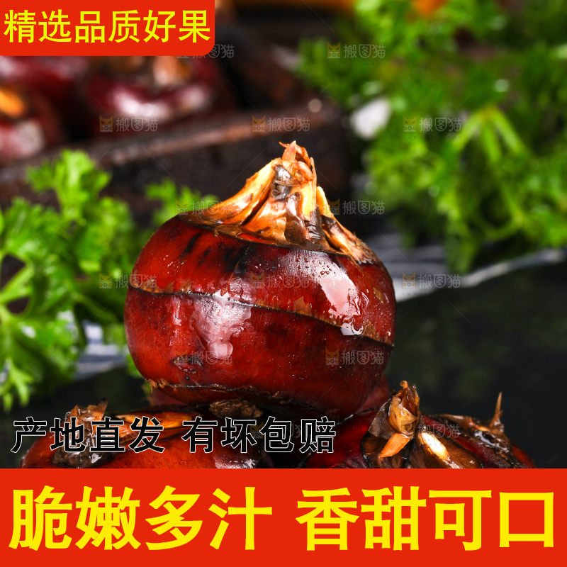 黑石板上的荸荠