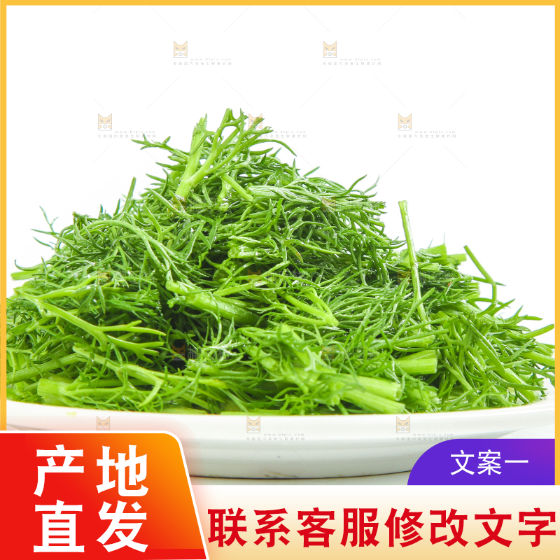 白底上放着小茴香