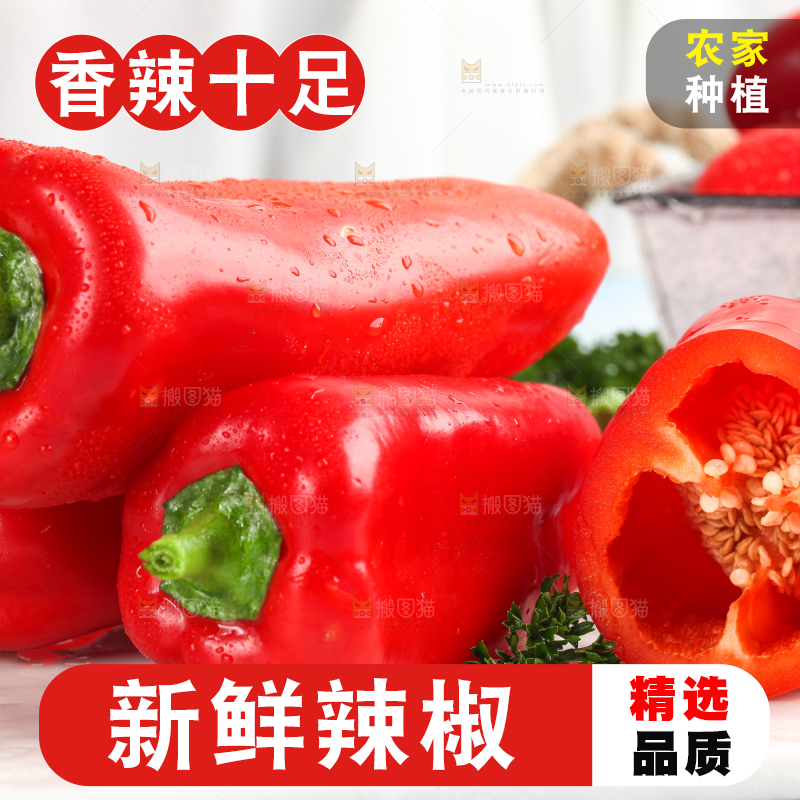 石板上的山东红辣椒