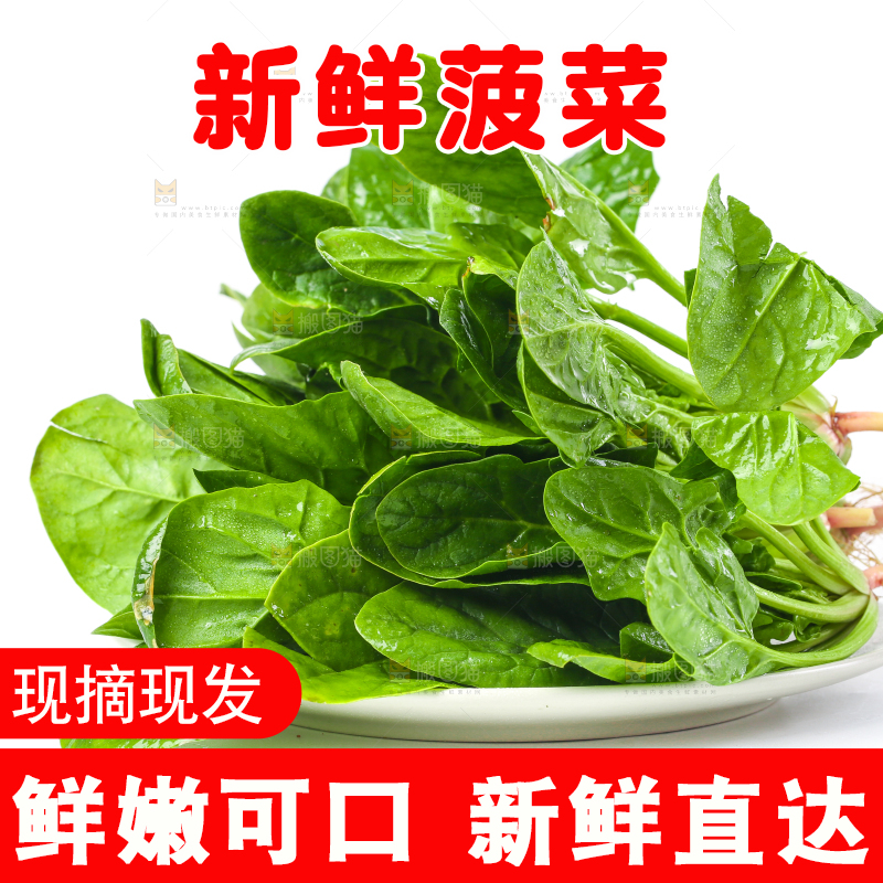 白底上放着菠菜