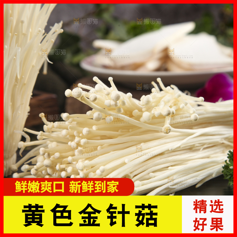 黑石板上的金针菇