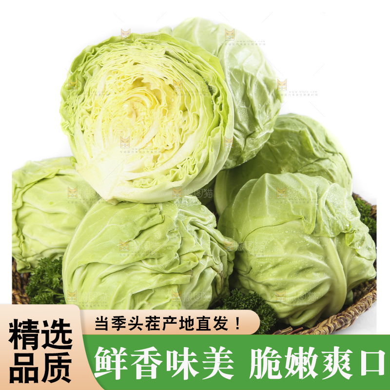 篮子里装着绿甘蓝