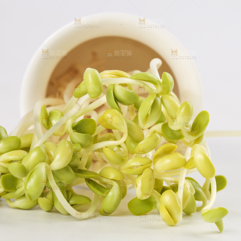 瓶子里放着黄豆芽