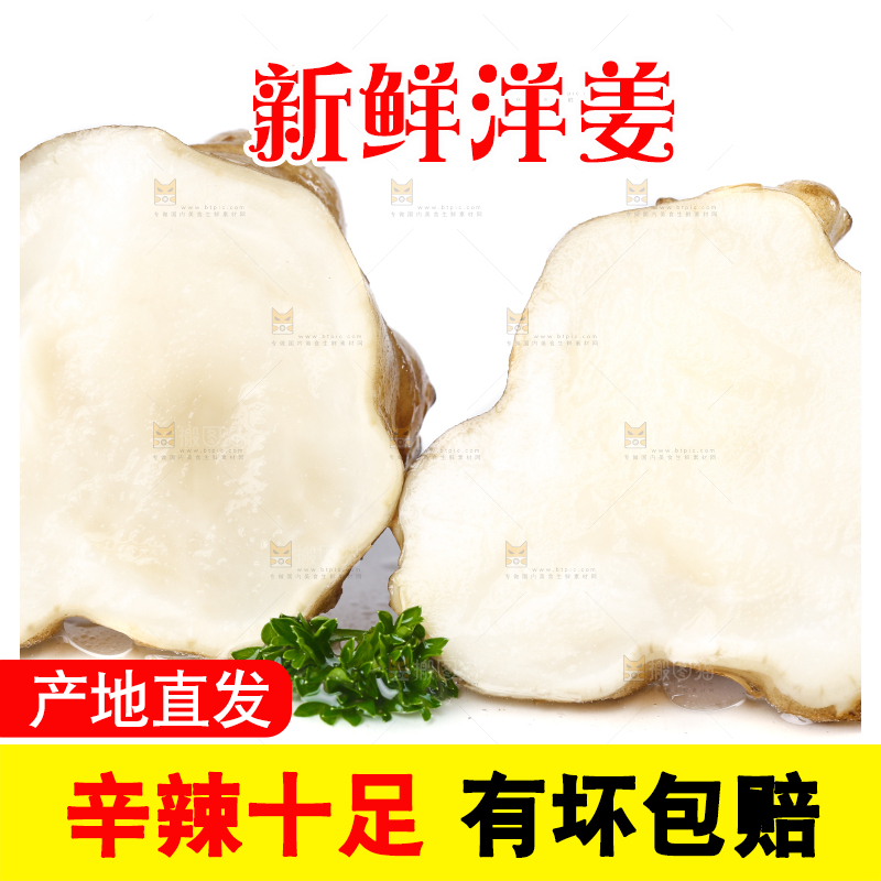 白底上的陕北高原洋姜