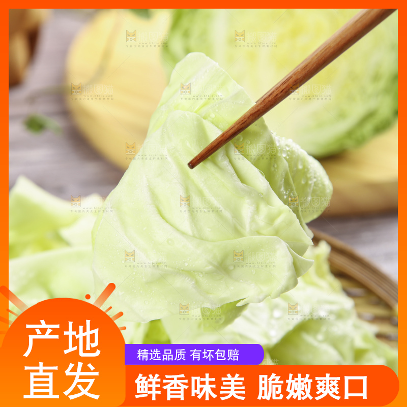 盘子里装着包心菜