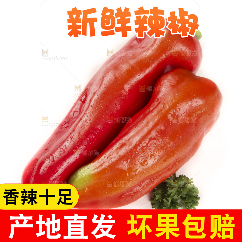 白底上的红甜椒