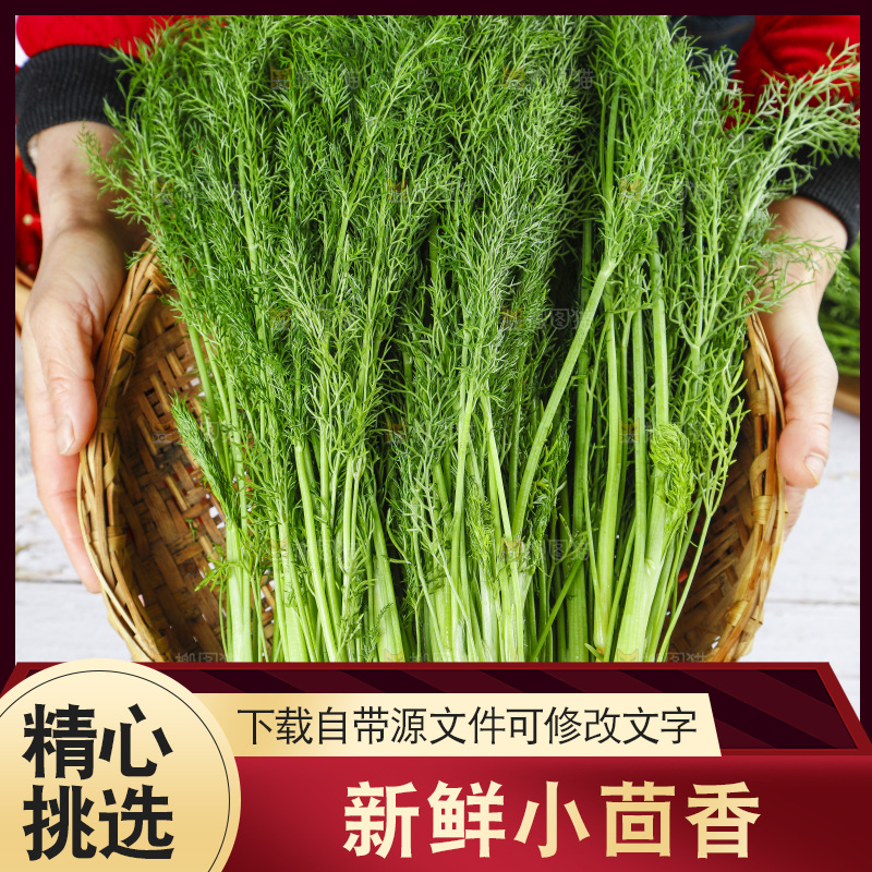 篮子里装着新鲜茴香菜