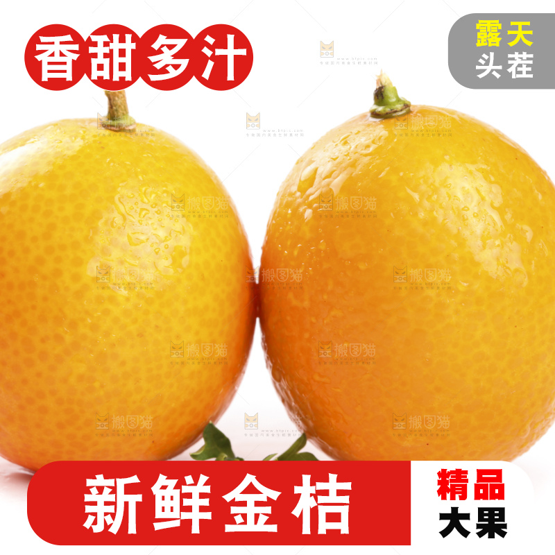 白底上的阳朔脆皮金桔