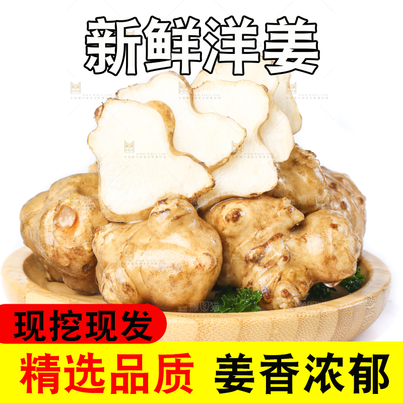 白底上的陕北高原洋姜
