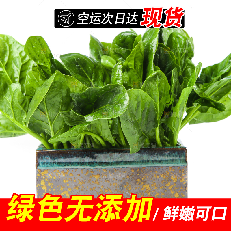 白底上放着菠菜