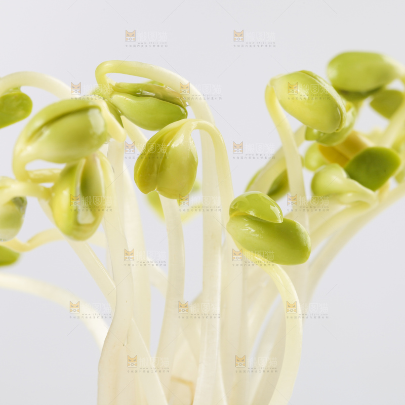 瓶子里放着黄豆芽