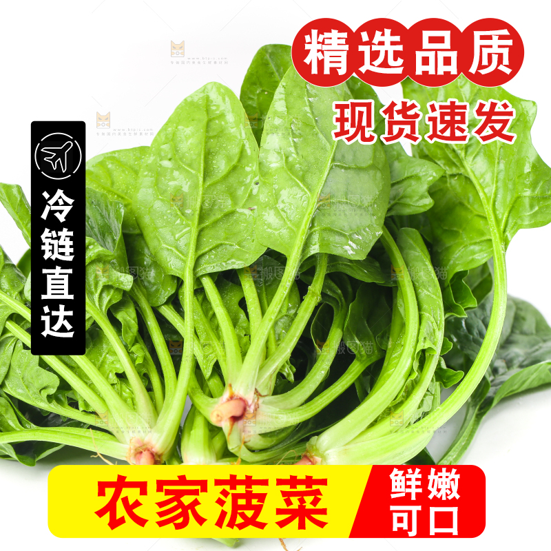 白底上放着菠菜