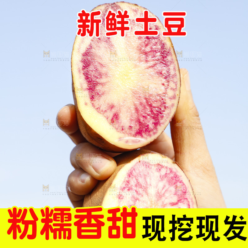 手里拿着彩色土豆