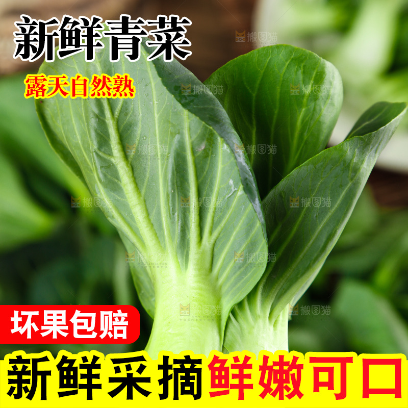 手里拿着新鲜青菜