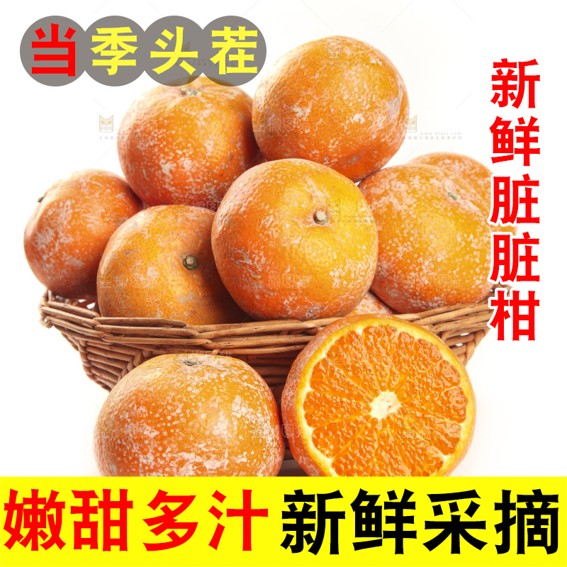 白底上放着一筐广西武鸣茂谷柑