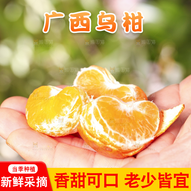 手拿掰开的乌柑