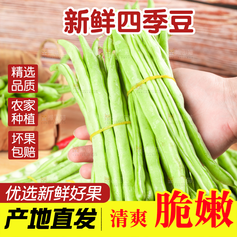 手里拿着云南新鲜四季豆