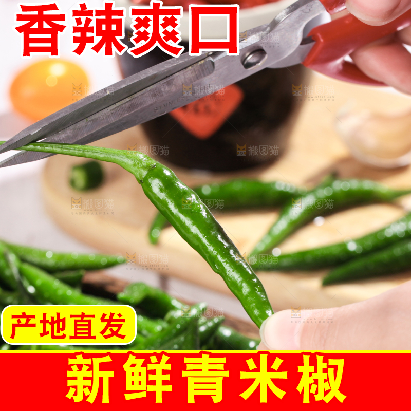 手拿新鲜小米椒