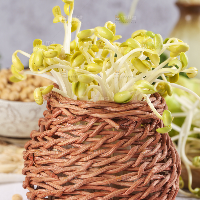 篮子里装着豆芽