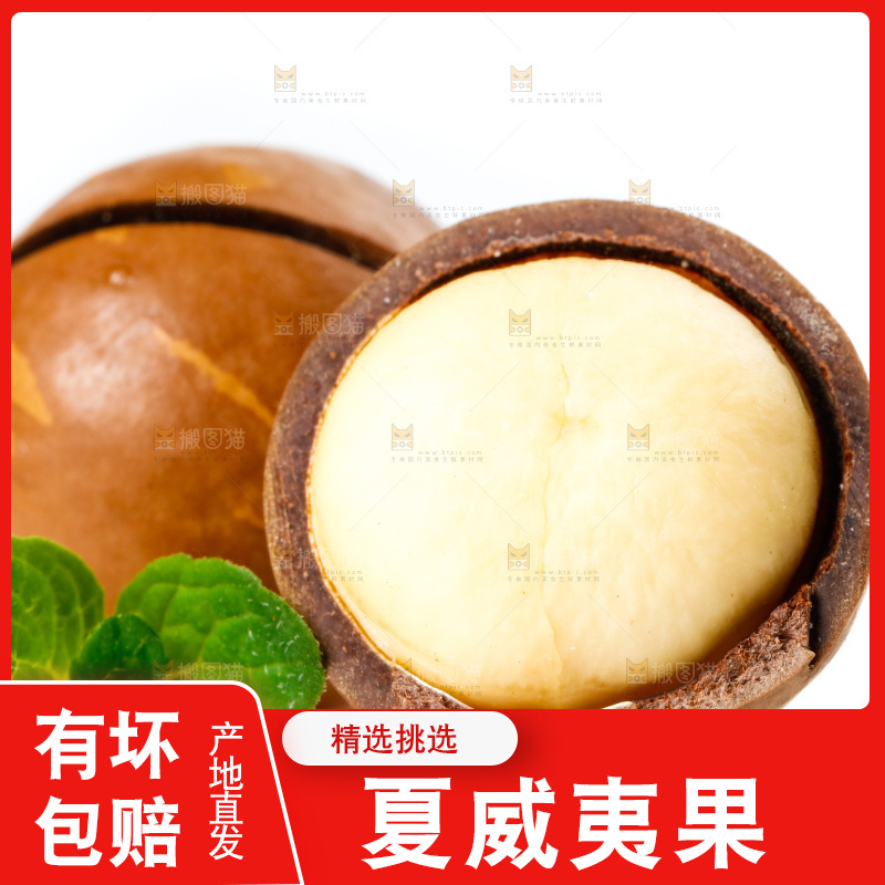 白底上的夏威夷果