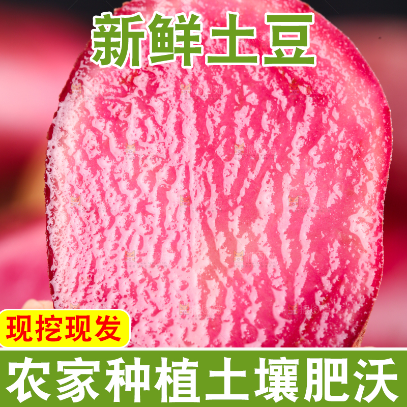 手里拿着红色马铃薯