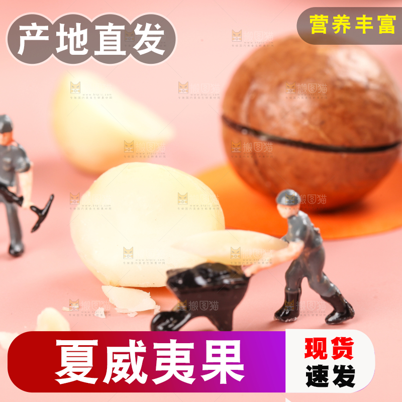 浅底上的夏威夷果
