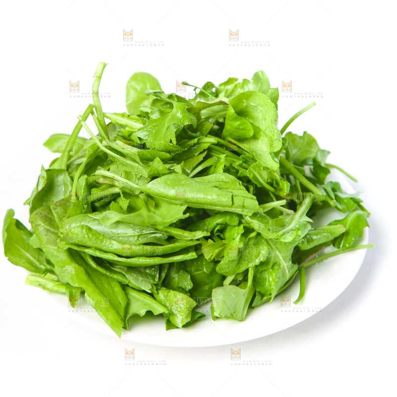 白底上的地菜