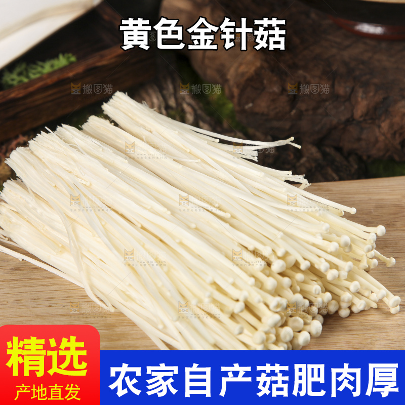 木底上的冬菇
