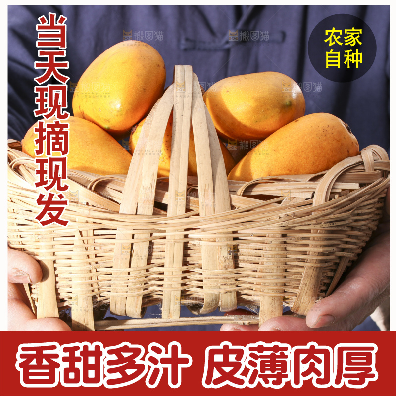 手拿一篮小台芒