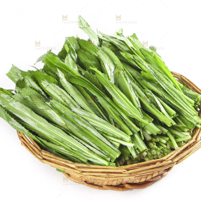 白底上放着一筐云南大香菜