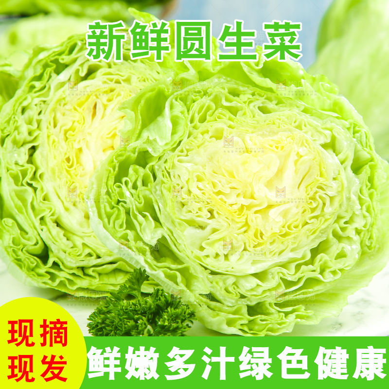 盘子里装着球生菜