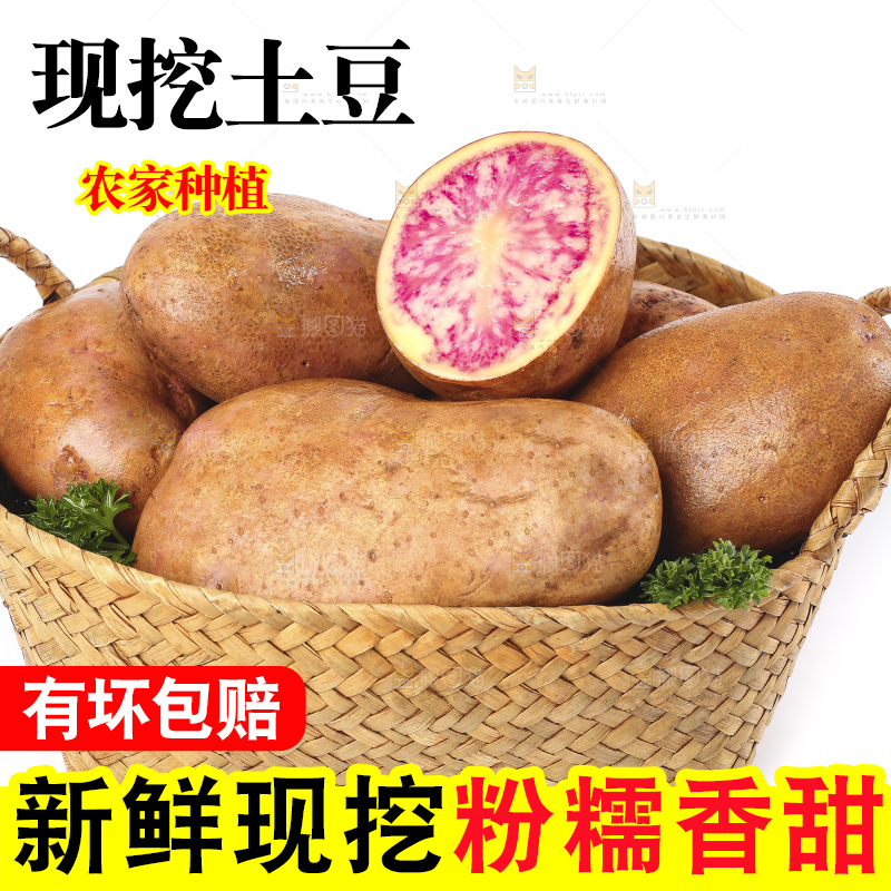 篮子里装着新鲜土豆
