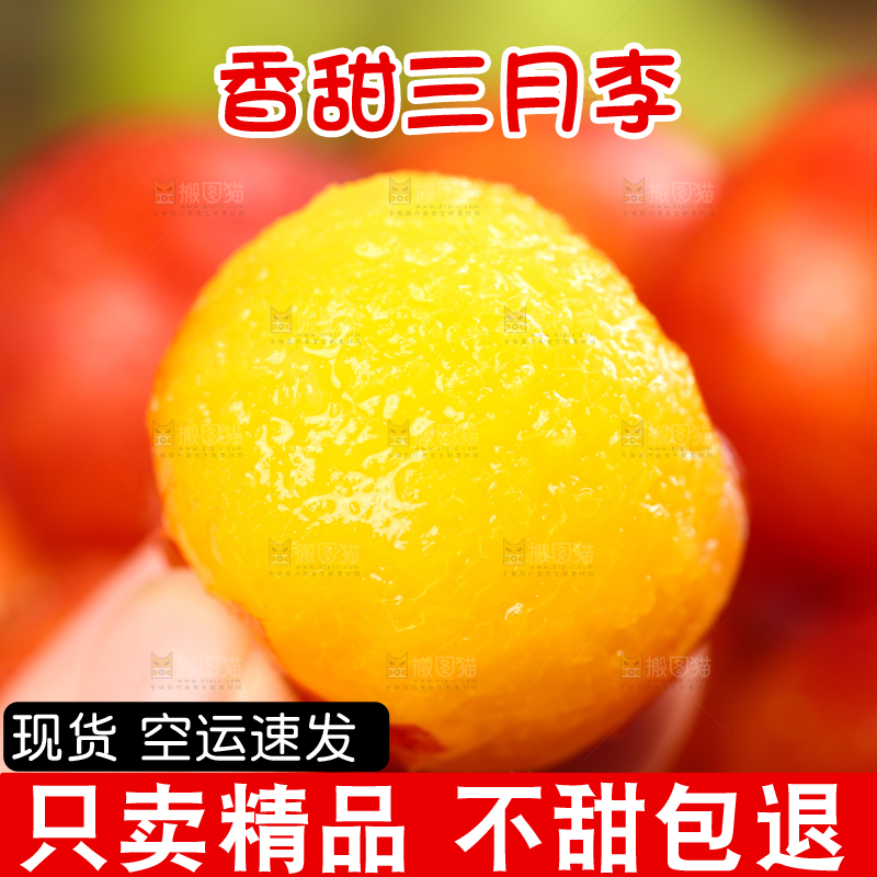 手里拿着新鲜李子