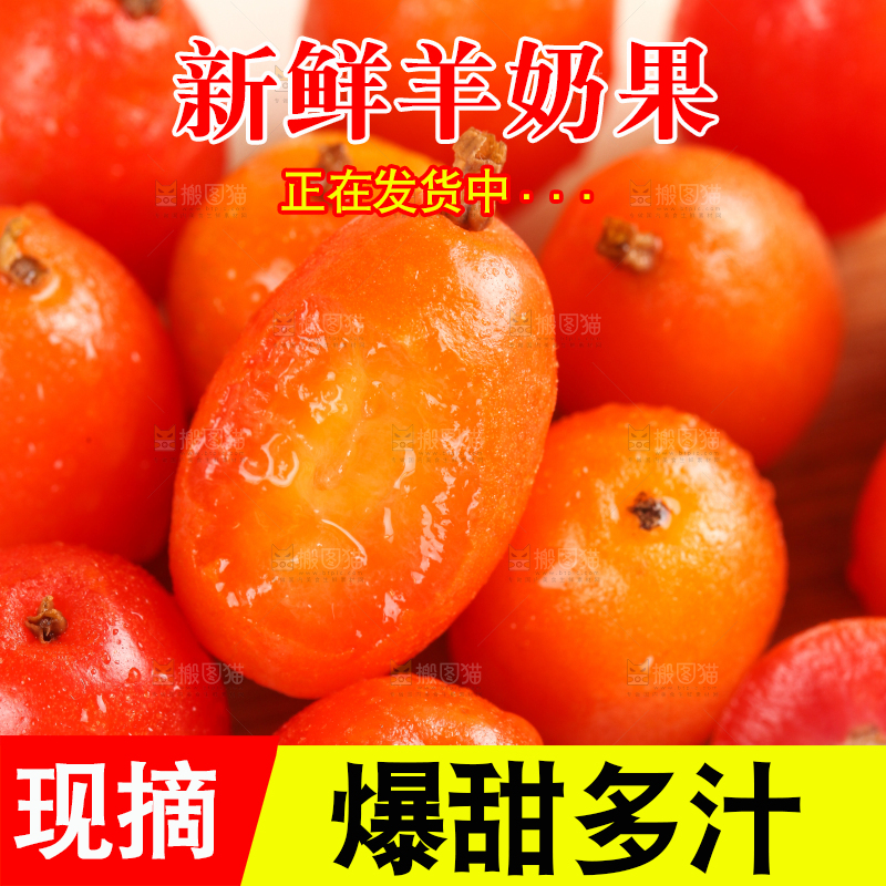 浅底上的云南新鲜羊奶果