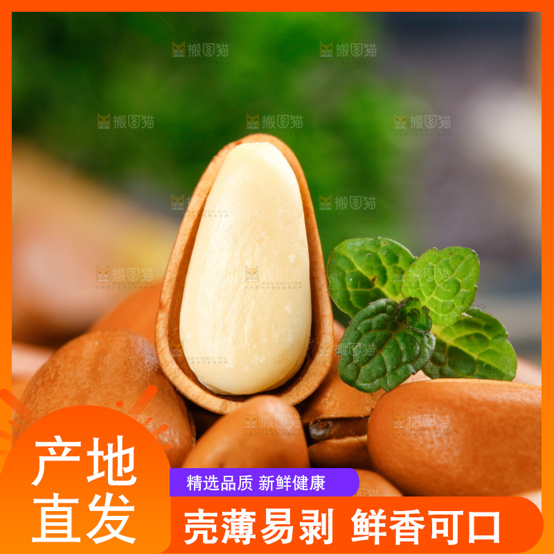 深底上摆放着松子