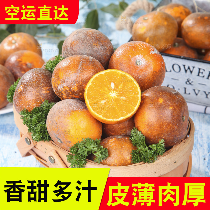 篮子里装着广西乌柑