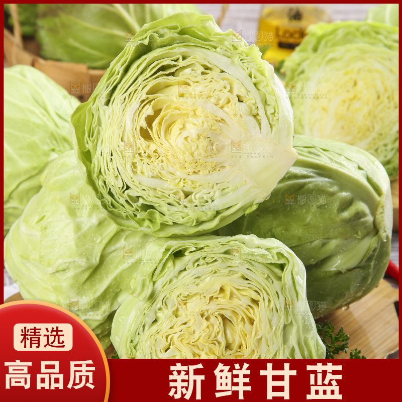 白格子底上的甘蓝包菜