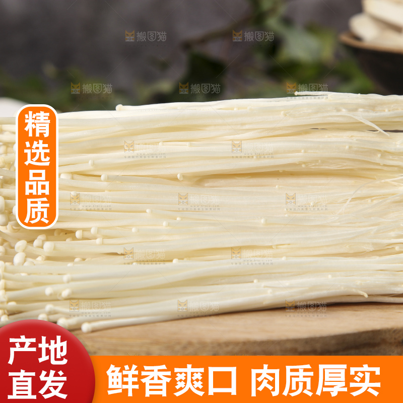 木底上的冬菇