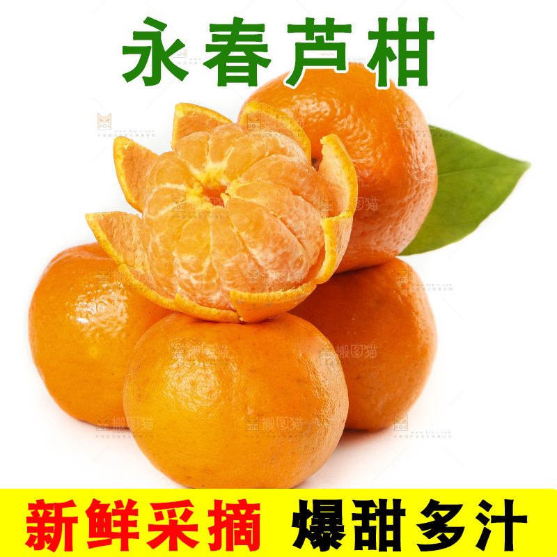 白底上的椪柑橘