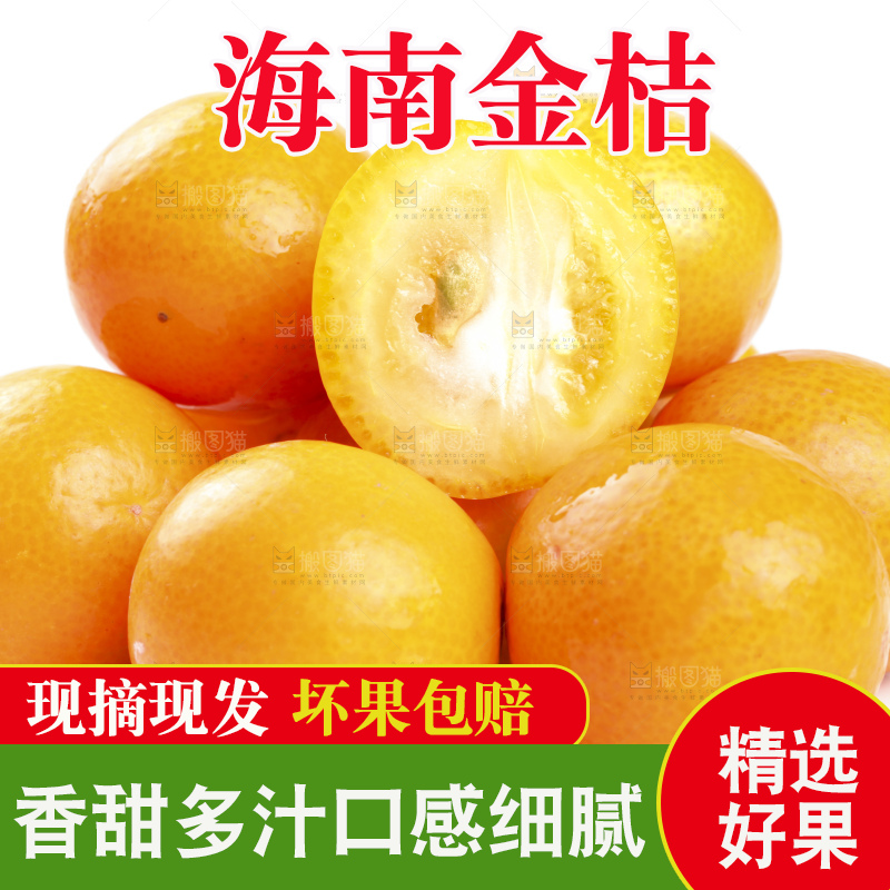 白底上的阳朔脆皮金桔