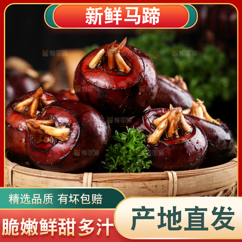 篮子里的红马蹄