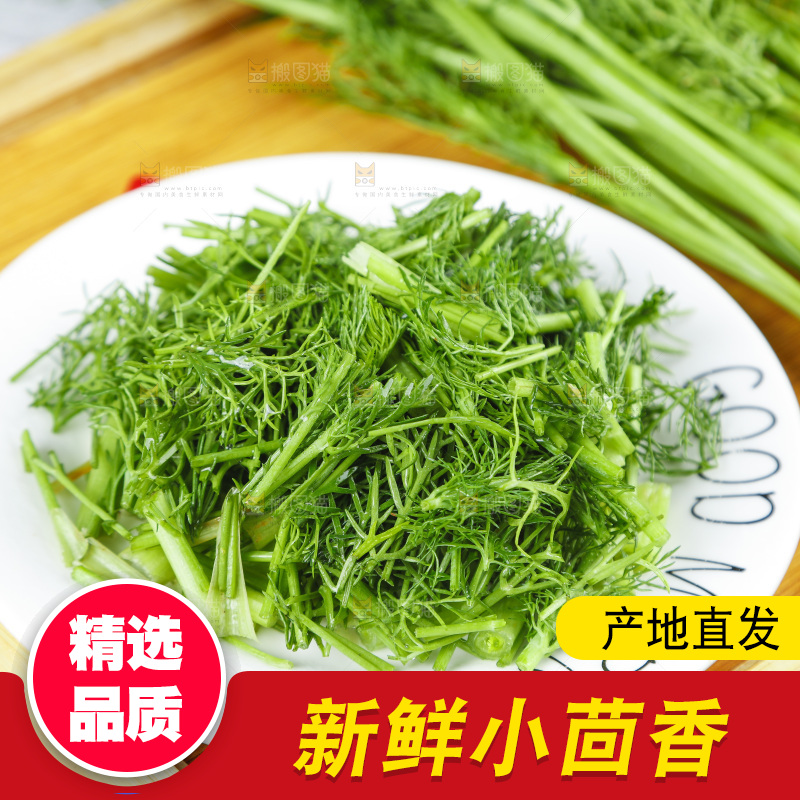 盘子里的云南小茴香菜