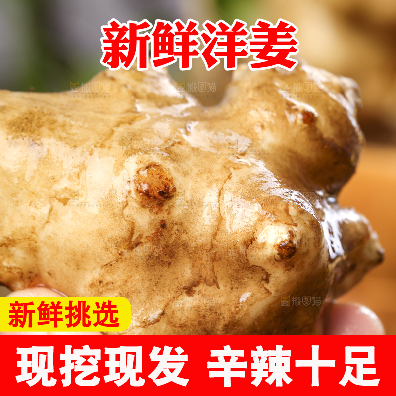 手里拿着地姜