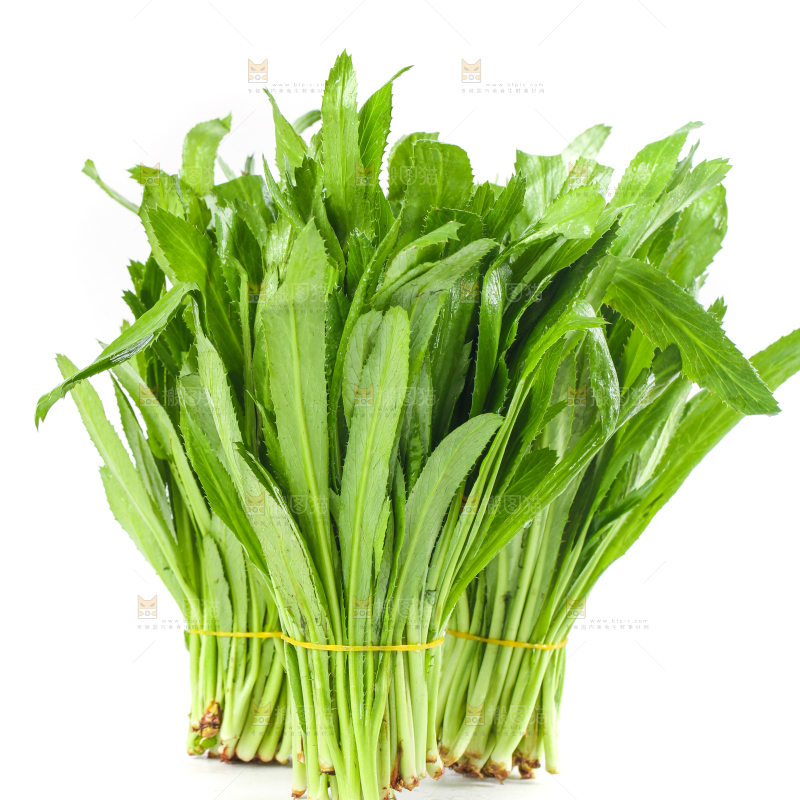 白底上的大香菜