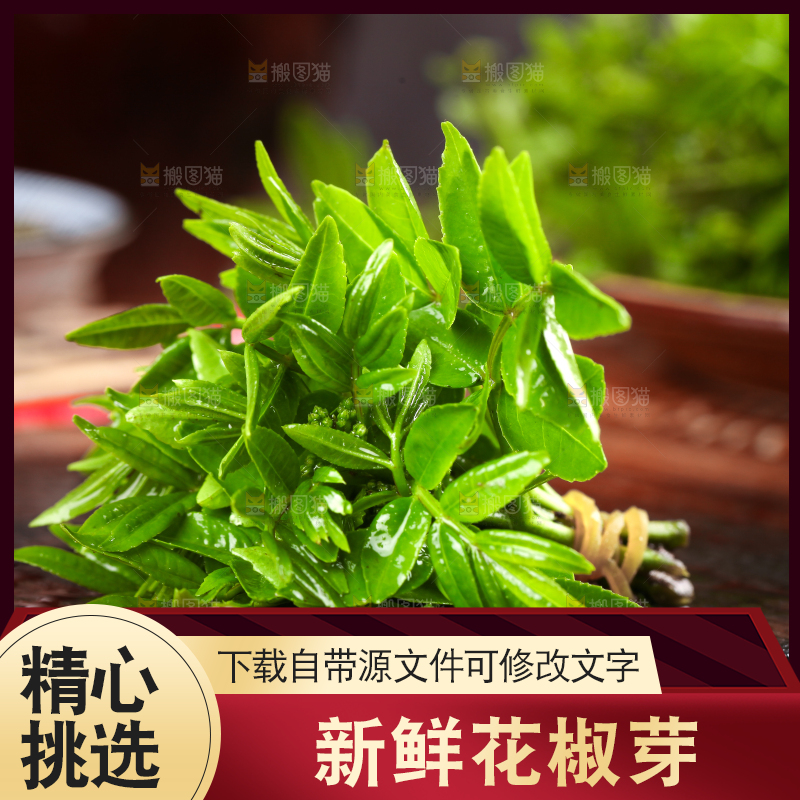木底上的麻香花椒芽