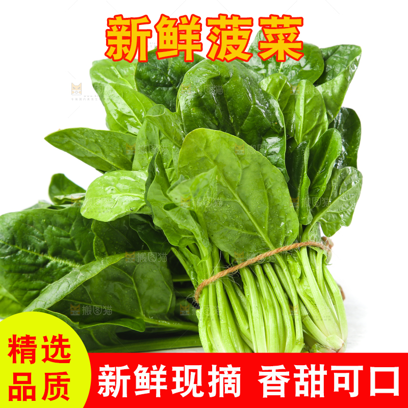 白底上放着菠菜