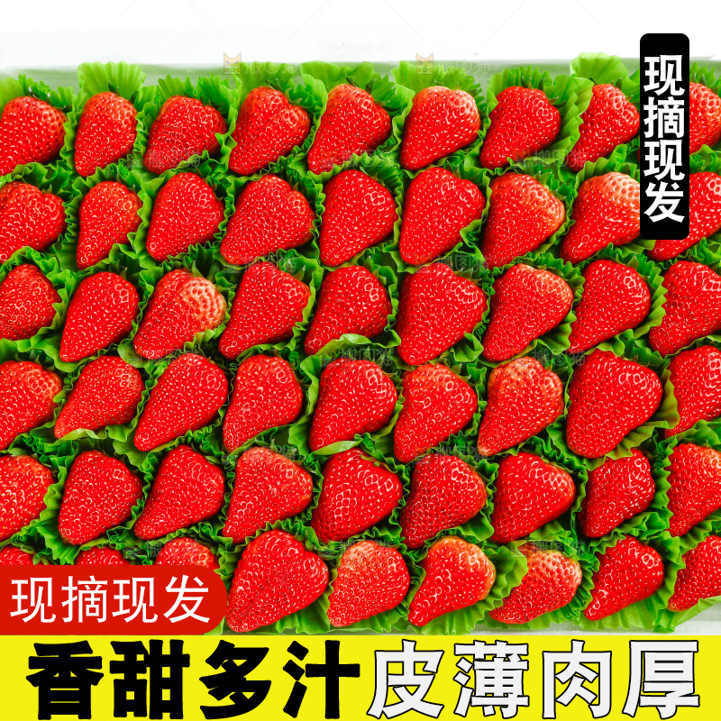 箱子里的新鲜草莓