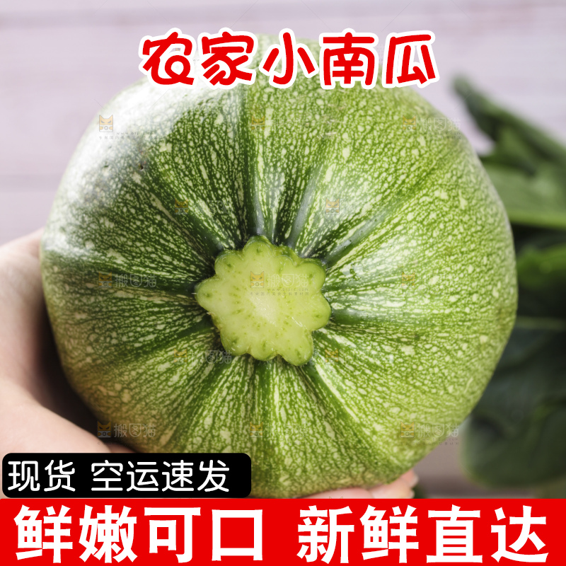 手里拿着青皮小南瓜