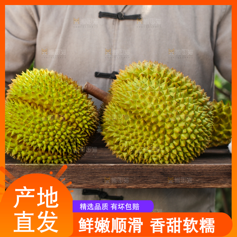 榴莲主图